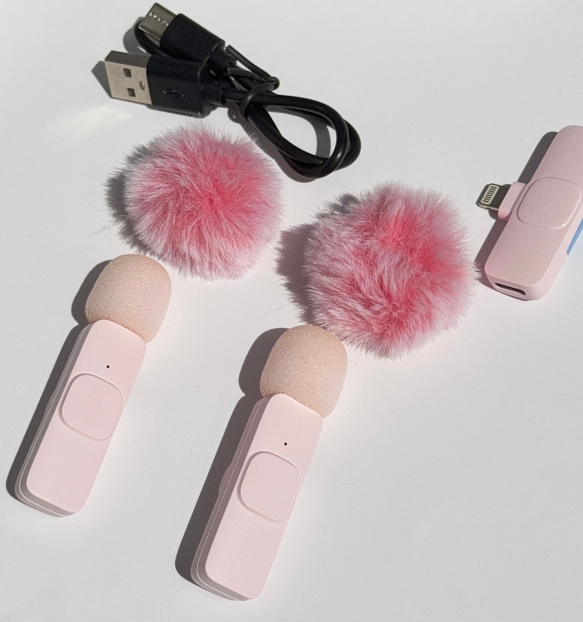 Set de 2 micrófonos inalámbricos